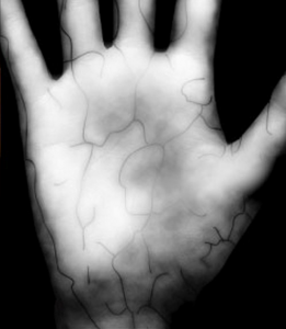 Biometria das palmas das mãos_Fujitsu (DR)